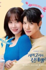 Nonton Drama Korea Cinderella at 2 AM Subtitle Indonesia